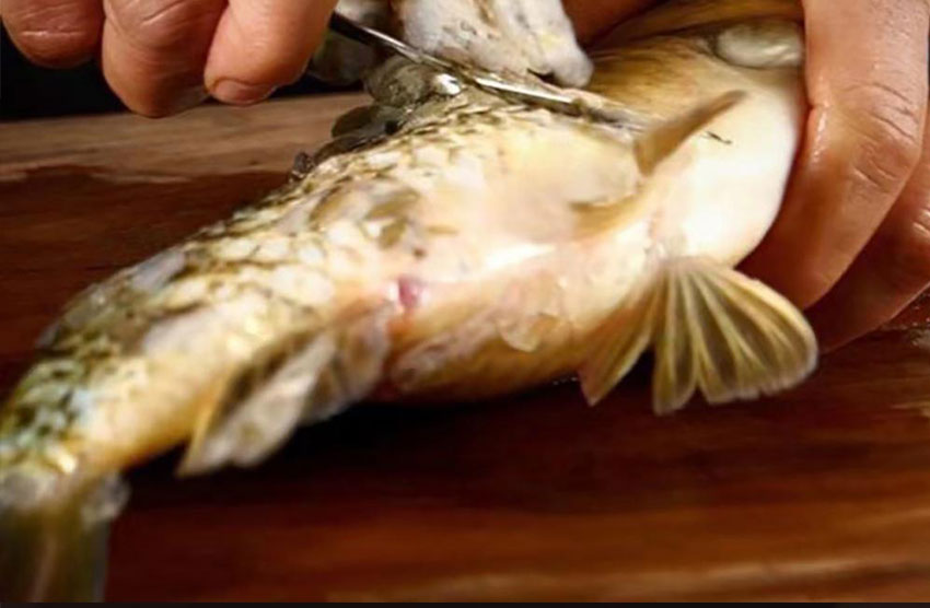 Πολυλειτουργική ξύστρα ψαριών κουζίνας από ανοξείδωτο χάλυβα διπλής κεφαλής, αποφλοιωτής γαρίδας