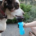 Αυτόματο Παγούρι Σκύλου 0.5L Auto Dog Mug® -  Black Friday