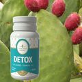 Detox Cleanse Formula Φυτικό Συμπλήρωμα για Αποτοξίνωση του Οργανισμού 60 Κάψουλες -  ΠΡΟΣΩΠΙΚΗ ΦΡΟΝΤΙΔΑ