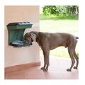 Επιτοίχια Πλαστική Ταΐστρα και Ποτίστρα Σκύλου 48 x 27 x 42 cm 2 σε 1 Χρώματος Πράσινο Bama 19041 -  Ταΐστρες & Ποτίστρες Σκύλων