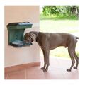 Επιτοίχια Πλαστική Ταΐστρα και Ποτίστρα Σκύλου 50 x 29 x 52 cm 2 σε 1 Χρώματος Πράσινο Bama 19046 -  Ταΐστρες & Ποτίστρες Σκύλων