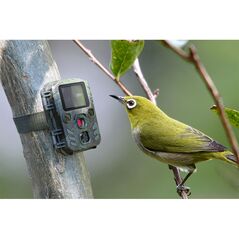Mini Κάμερα Παρακολούθησης Άγριων Ζώων για Κυνηγούς Technaxx TX-117 -  Ελεύθερος Χρόνος
