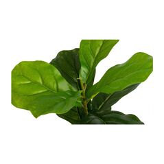 Τεχνητό Φυτό Ficus Lyrata 50 cm Inkazen 40081828 - Διακόσμηση