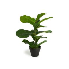 Τεχνητό Φυτό Ficus Lyrata 50 cm Inkazen 40081828 -  Διακόσμηση