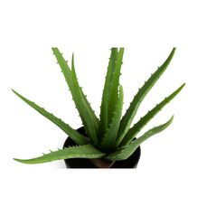 Τεχνητό Φυτό Aloe Vera 36 cm Inkazen 40081834 -  Διακόσμηση