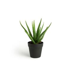 Τεχνητό Φυτό Aloe Vera 36 cm Inkazen 40081834 -  Διακόσμηση