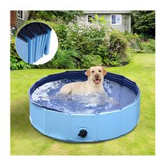 Αναδιπλούμενη Πισίνα για Κατοικίδια 120 x 30 cm Χρώματος Μπλε PawHut D01-004BU -  Πισίνες Σκύλων