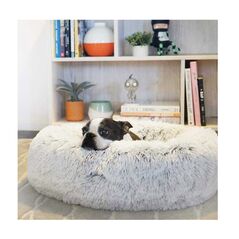 Μαλακό Κρεβάτι για Κατοικίδια 60 cm Hoppline HOP1001111-1 -  Κρεβάτια Γάτας