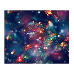 Χριστουγεννιάτικα Πολύχρωμα Λαμπάκια LED Μπαταρίας 50 τμχ Idomya 40004174 -  Χριστουγεννιάτικα
