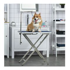 Πτυσσόμενο Τραπέζι Καλλωπισμού για Κατοικίδια 70 x 45 x 74-81 cm PawHut D01-034 -  Τραπέζια Καλλωπισμού Σκύλων