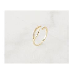 Δαχτυλίδι Alevine Jewellery Margot με Πέτρες Ζιργκόν 8720604880014 -  Δαχτυλίδια