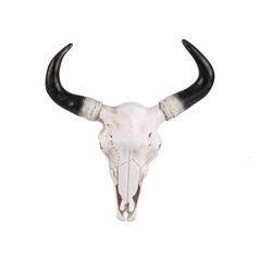 Διακοσμητικό Κρανίο Αγελάδας από Ρητίνη 37 x 40 x 9 cm Natural Living 54633 -  Διακόσμηση