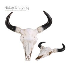 Διακοσμητικό Κρανίο Αγελάδας από Ρητίνη 37 x 40 x 9 cm Natural Living 54633 -  Διακόσμηση