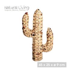 Διακοσμητικός Ψάθινος Κάκτος από Υάκινθου του Νερού 45 x 25 x 9 cm Natural Living 53856 -  Διακόσμηση