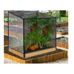 Mini Θερμοκήπιο 115 x 80 x 130 cm Jardikt 10060257 -  Βοηθητικά Κήπου
