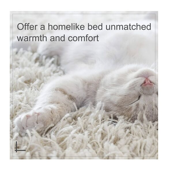 Ψάθινο Κρεβάτι με Μαξιλάρι για Κατοικίδια 57 x 46 x 17.5 cm PawHut D04-109 -  Κρεβάτια Σκύλων