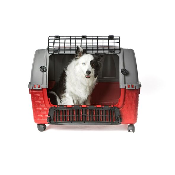 Τροχήλατο Κλουβί Μεταφοράς Σκύλου 88 x 52 x 60 cm Bama 19140 -  Κλουβιά Μεταφοράς Σκύλων