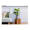 Τεχνητό Φυτό Ficus Lyrata 50 cm Inkazen 40081828 -  Διακόσμηση