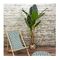 Τεχνητό Φυτό Μπανάνα 160 cm Home Deco Factory HD4189 -  Διακόσμηση